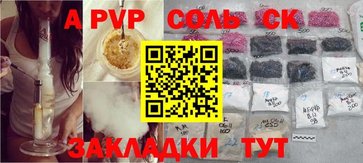 A PVP СК КРИС Великий Новгород