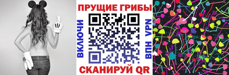 KRAKEN онион  Великий Новгород  Псилоцибиновые грибы Psilocybe 
