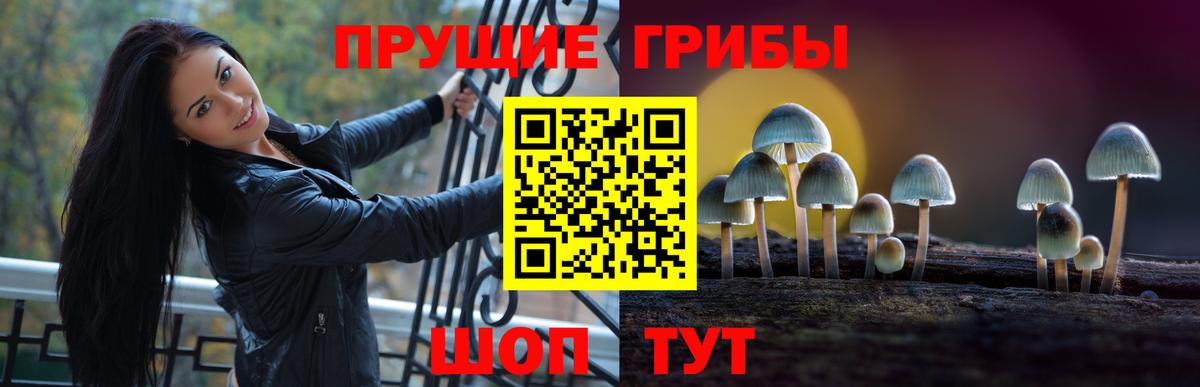Псилоцибиновые грибы MAGIC MUSHROOMS Великий Новгород